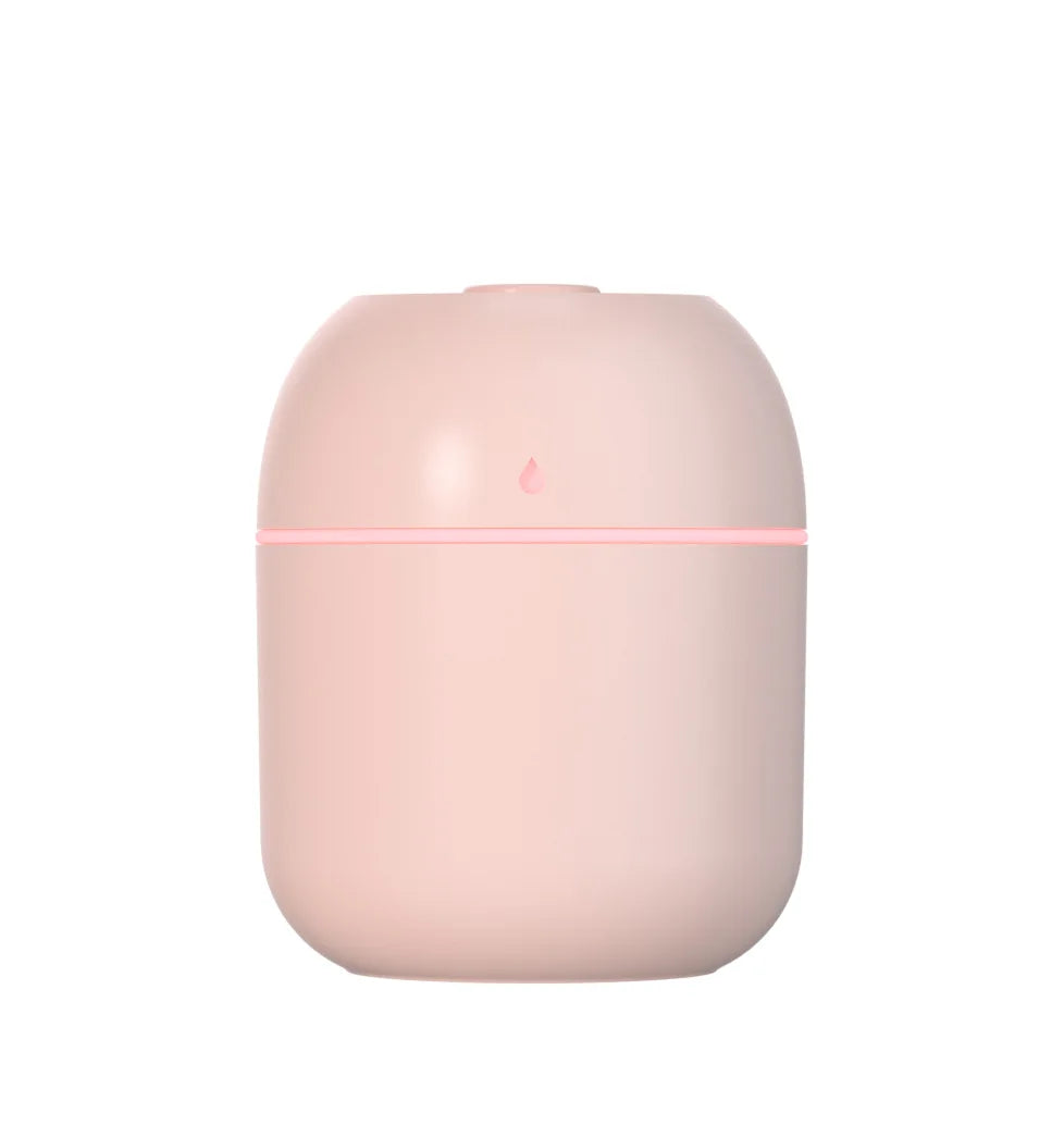 USB Facial Mist Steamer