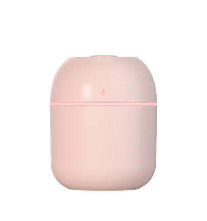 USB Facial Mist Steamer