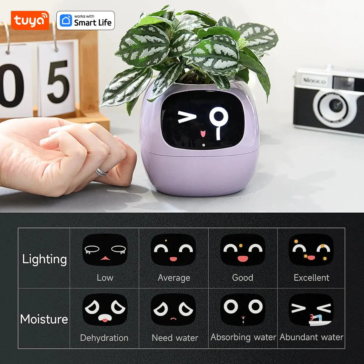 pink Tuya Ivy Smart Planter,Endless Fun Over 49 Rich Expressions,7 smart sensors and AI Chips Make Raising Plants Easy and Fun