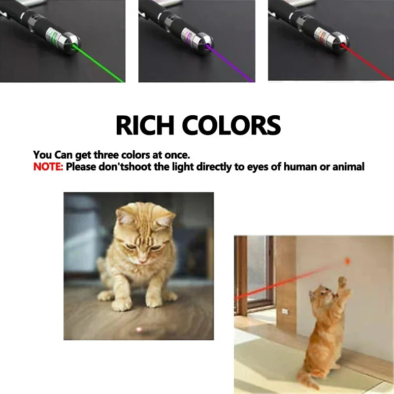 2-in-1 Laser Pointer & Pet Toy